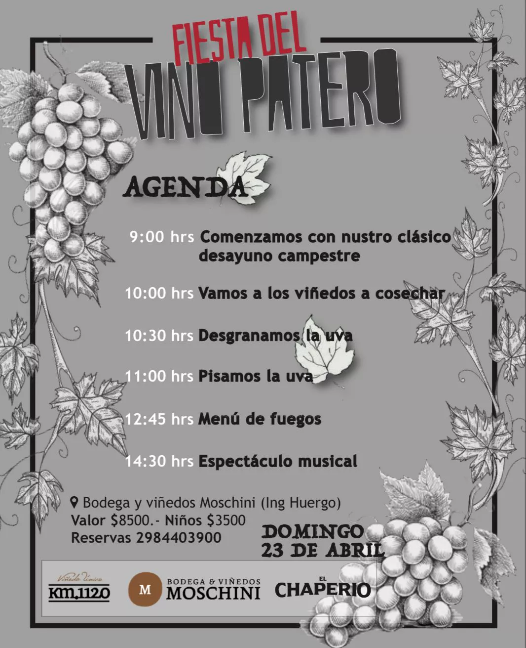 vino patero programa 1