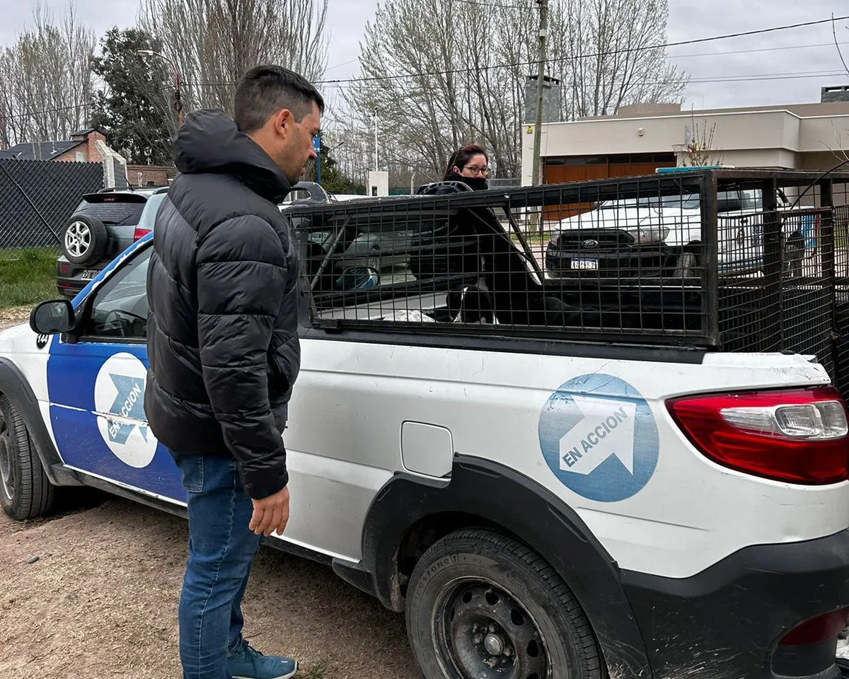 ALLANAMIENTO MALTRATO ANIMAL2