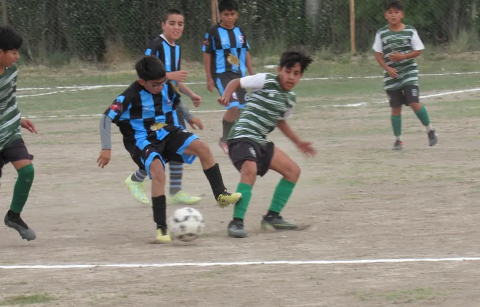 LDC Cimac Oro