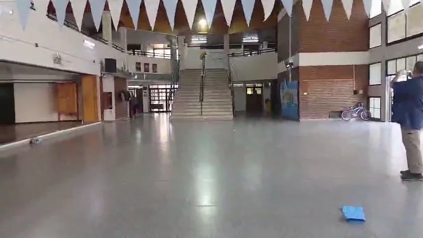 escuela 168 - murciélagos