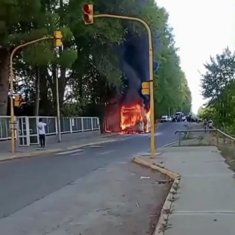 colectivo fuego Romagnoli