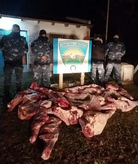 allanamiento-4-461x1024