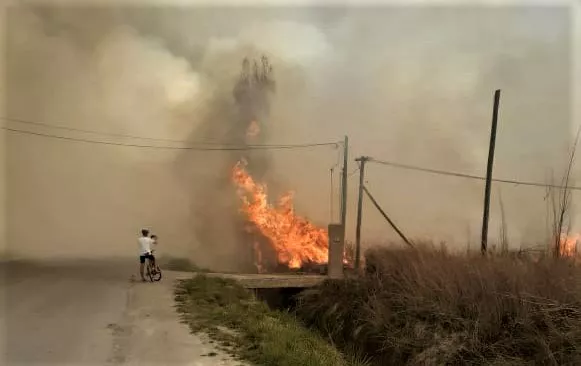 INCENDIOS BOMBEROS2