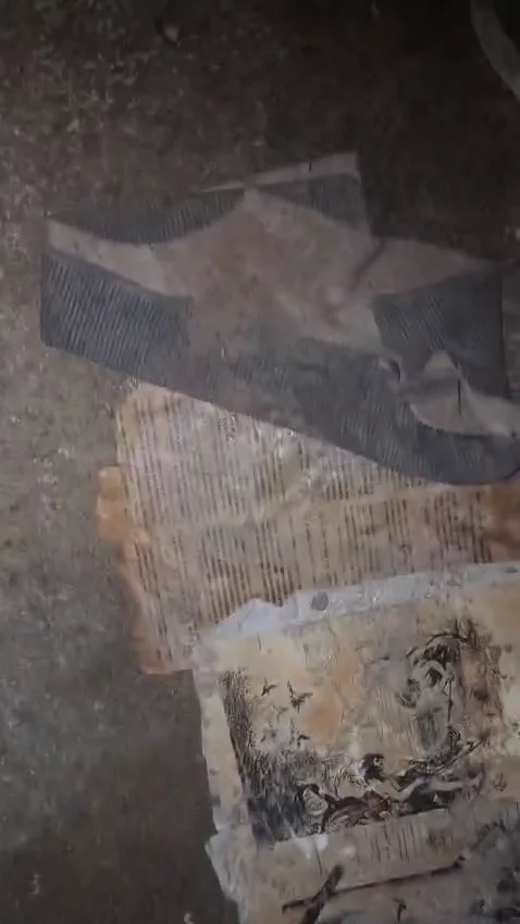 WhatsApp Video 2026-10-21 at 08.21.33