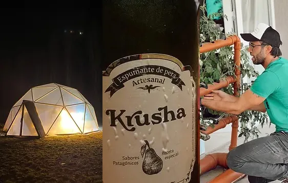 emprendedores2