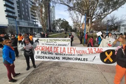 marcha maltrato animal3