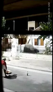 Video pirotecnia Navidad