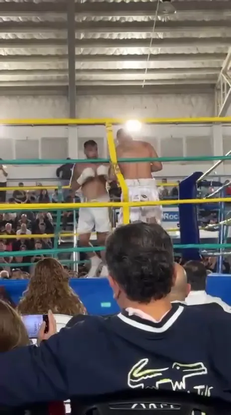 Potro Luis en poli López