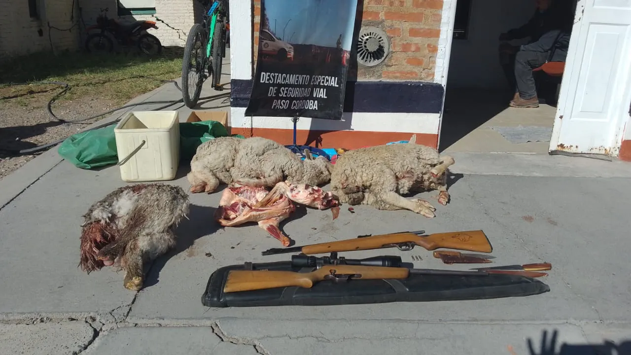 decomiso carne paso córdoba