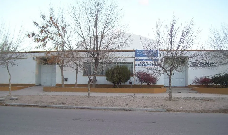 escuela 290