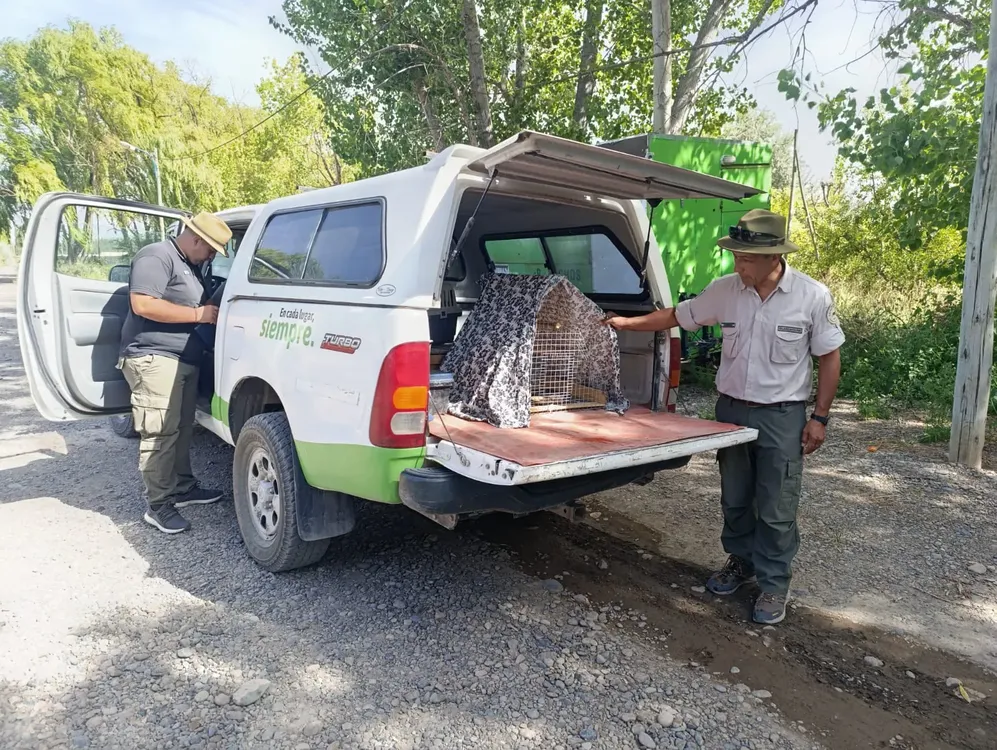 operativo fauna2