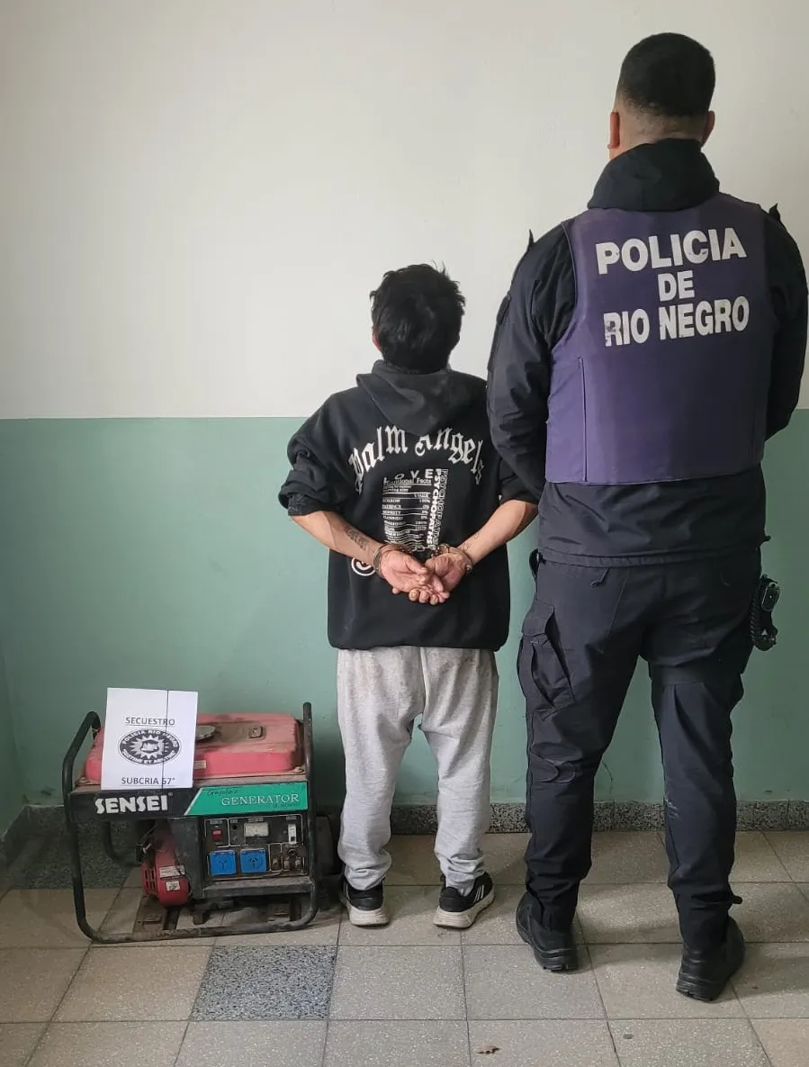 robo stefenelli