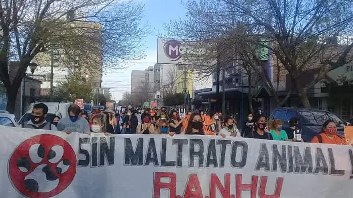 marcha maltrato animal1