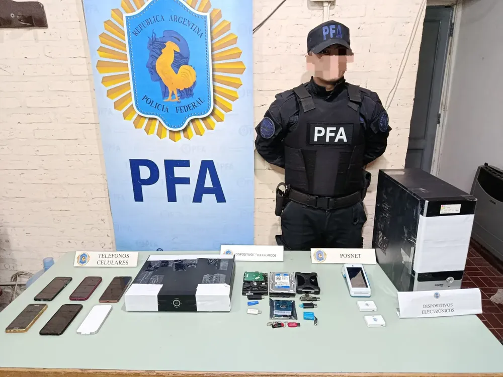 ciberdelito PFA3