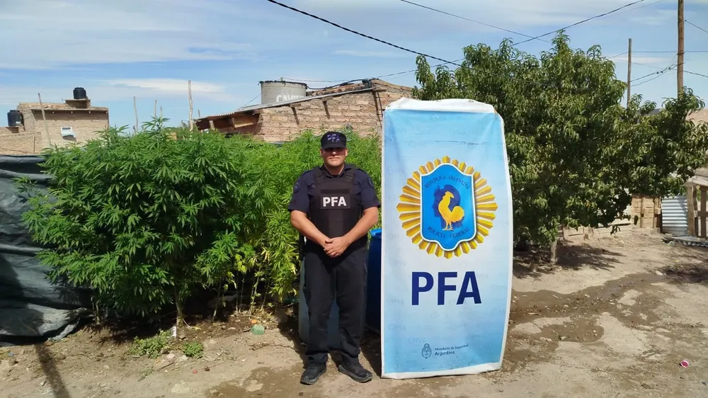 PFA Roca1