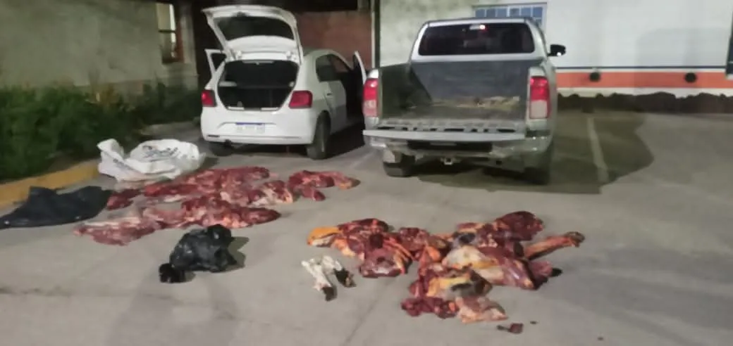 FB_IMG_1742393429833