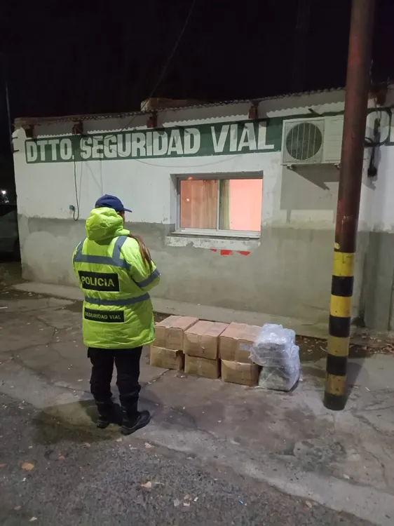 carga frutos de mar