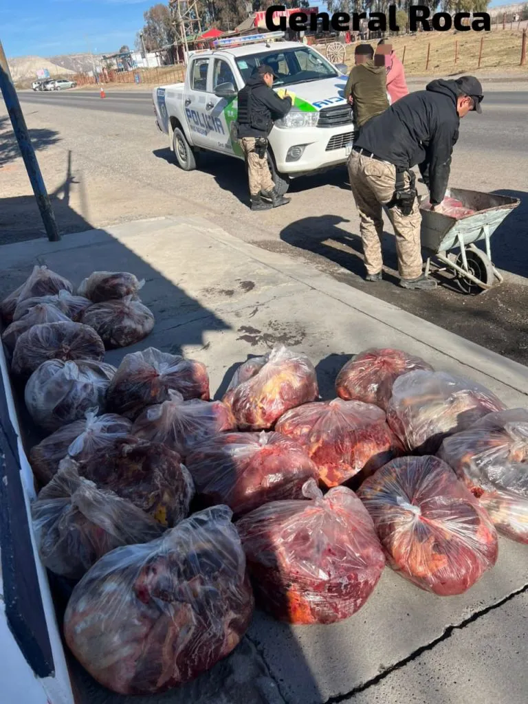 carne de caballo3