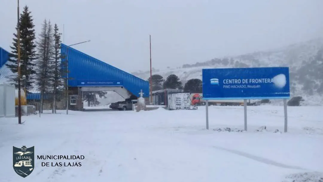 frontera pino hachado