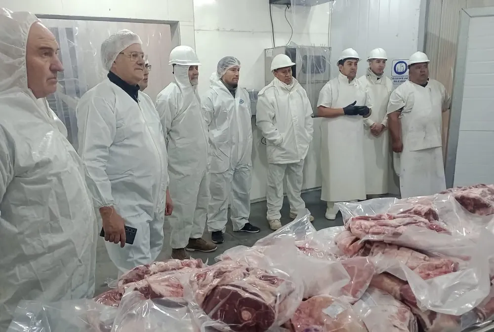 carne frigorífico (1)