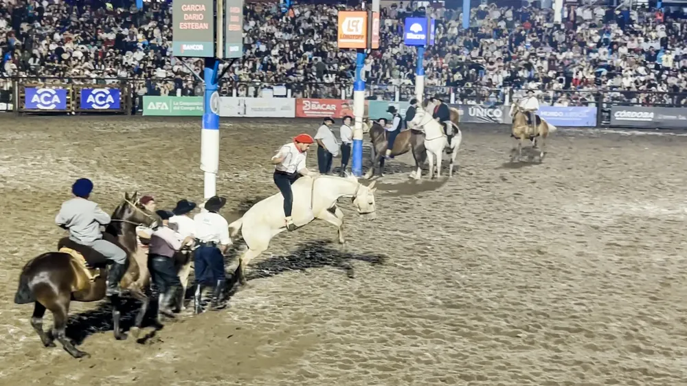 jesus maria doma roquense