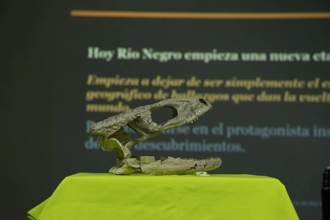museo de ciencias presentación MPCN (3)