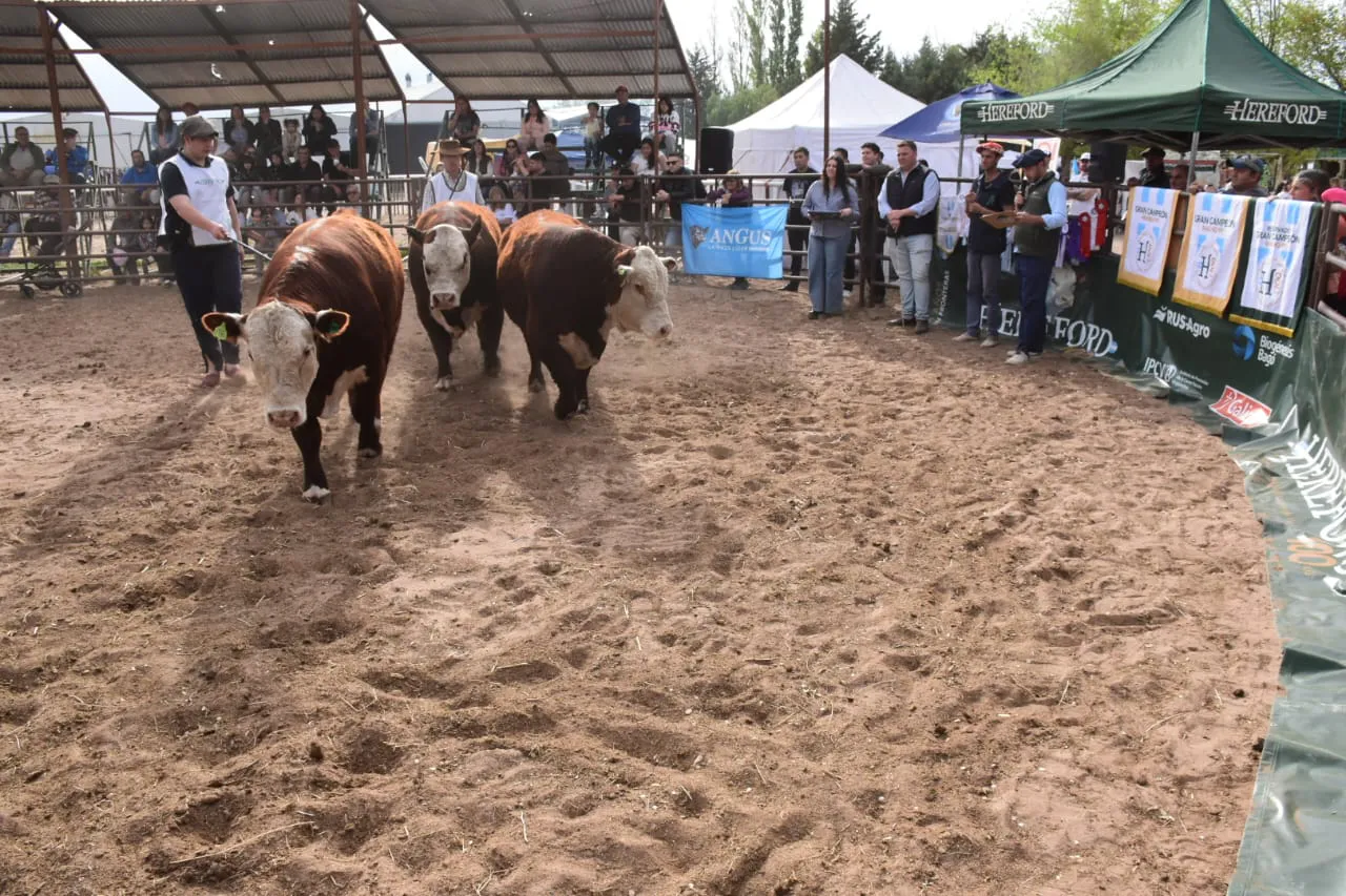 rural roca6