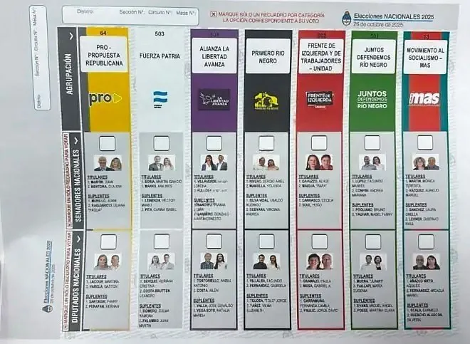 boleta única papel