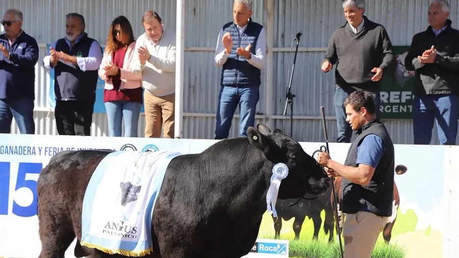 expo rural alto valle