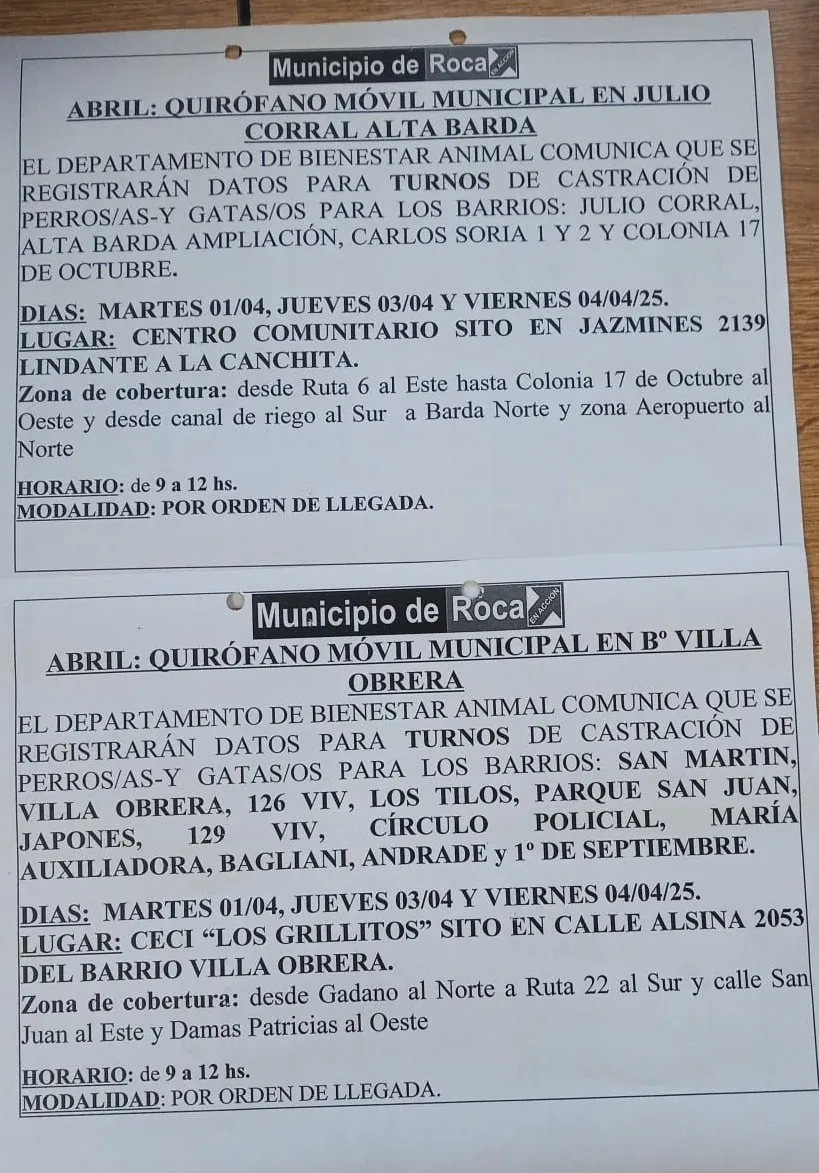 quirófano movil turnos
