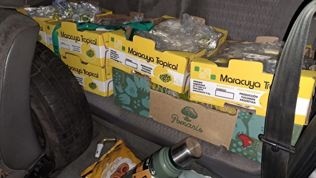 DECOMISO FRUTAS EXÓTICAS Y HUEVOS (3)