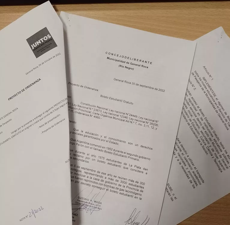 maida proyecto boleto gratuito