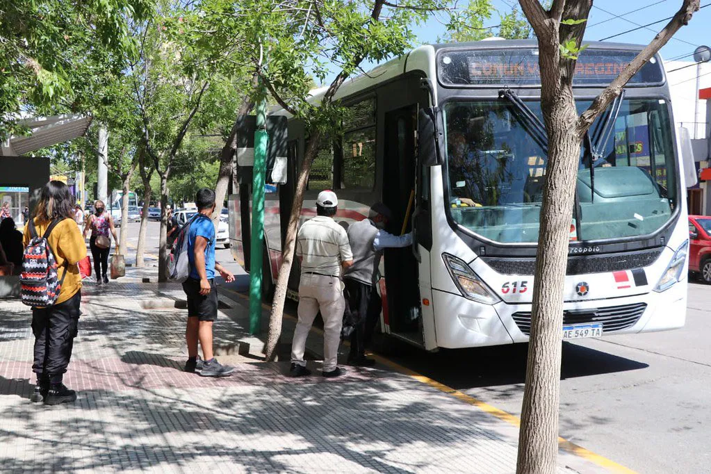 colectivos