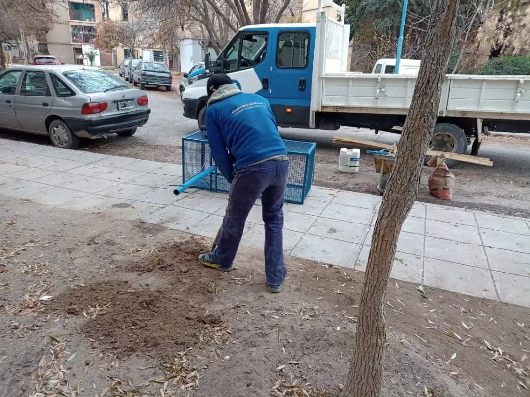 CESTOS 500 VIVIENDAS1