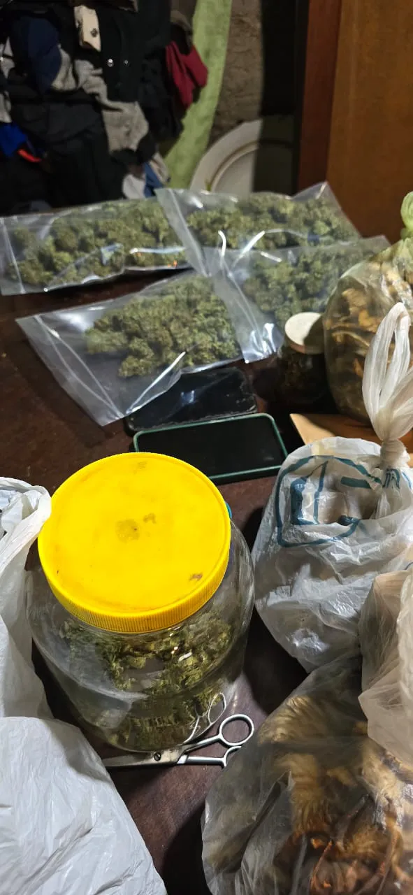 allanamientos marihuana2