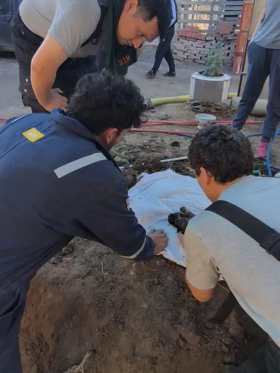 bomberos6