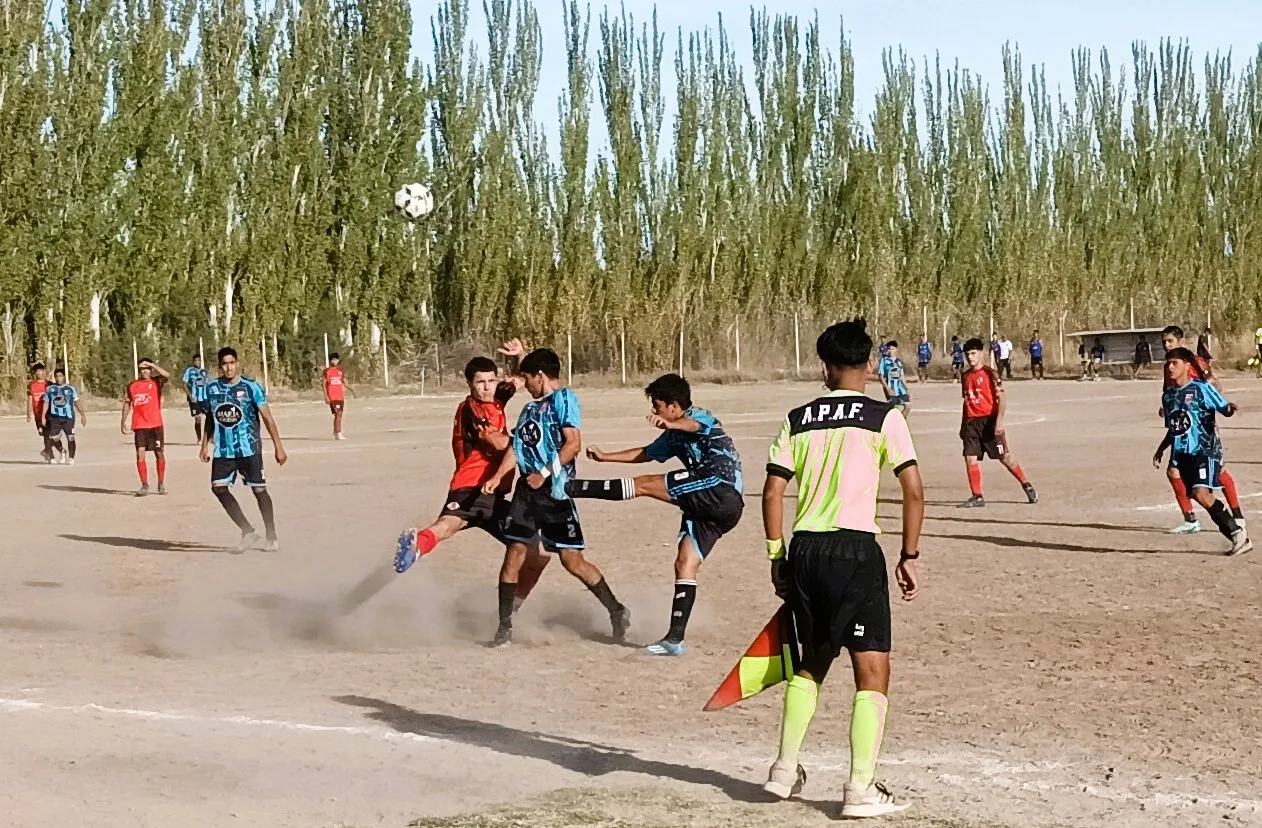 LDC jugada CIMAC
