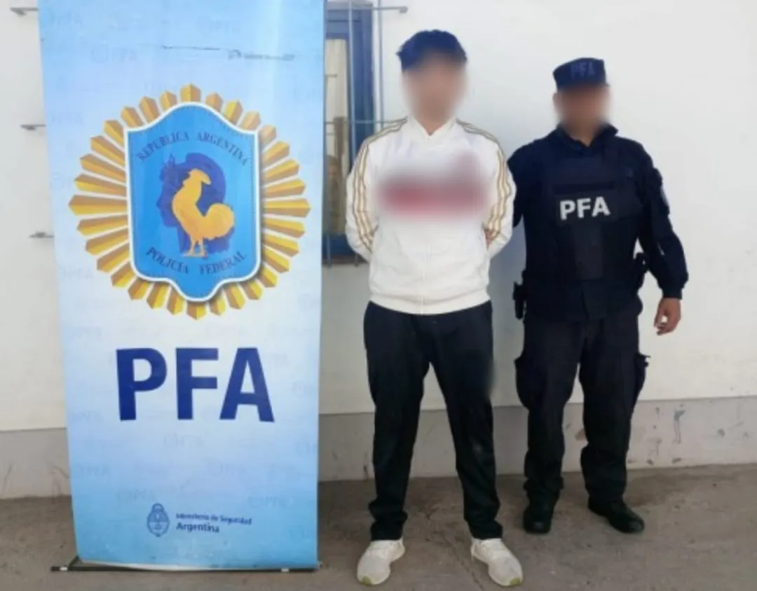 plantas de marihuana PFA (5)