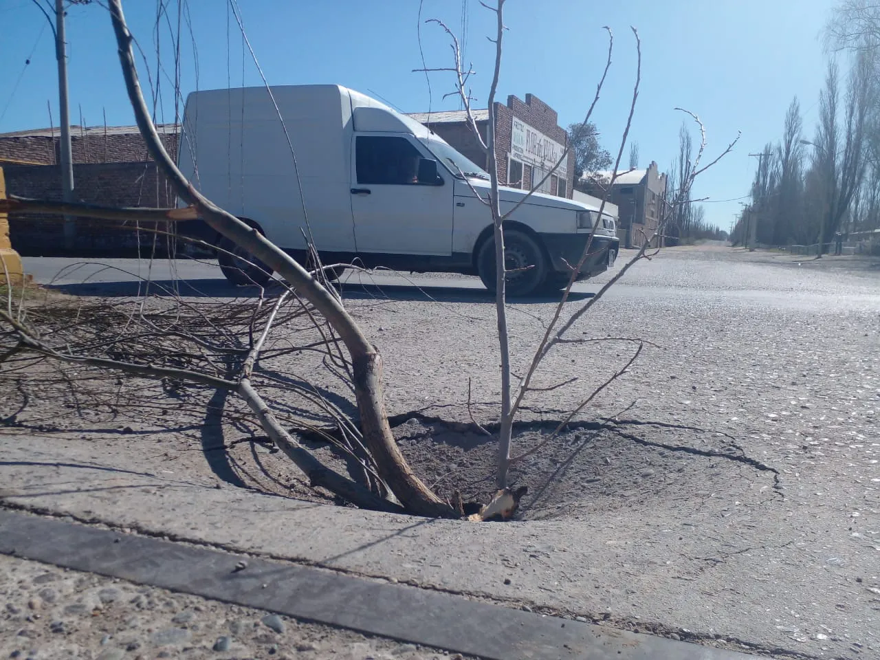 bache zona rural2