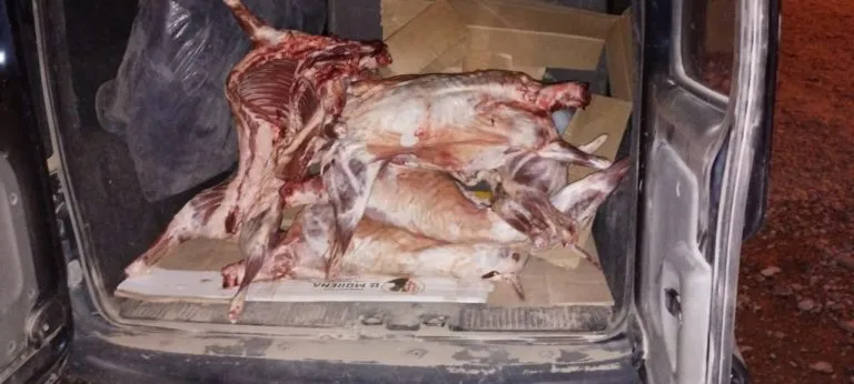 brigada-rural-roca-2