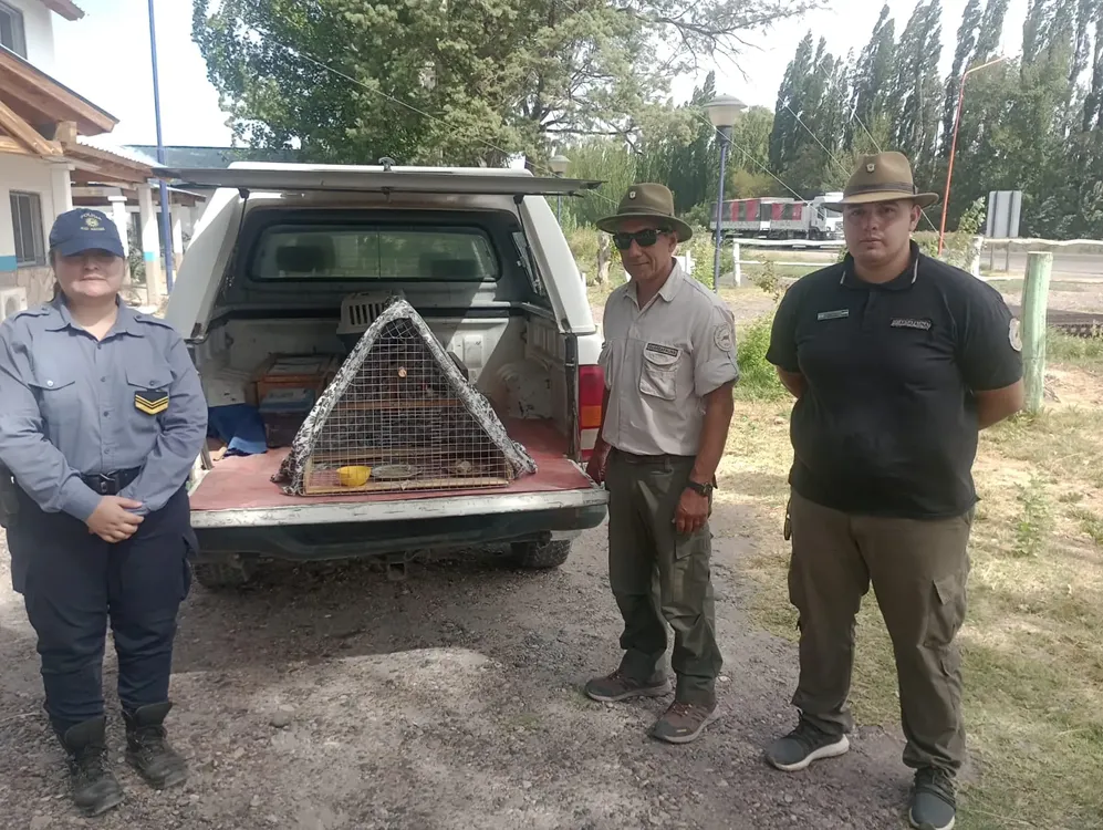 operativo fauna4