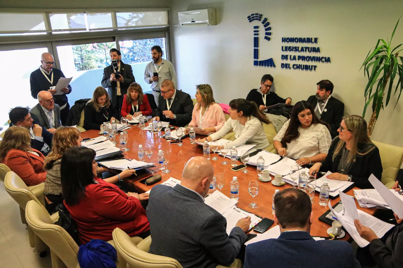 parlamento patagónico comisión