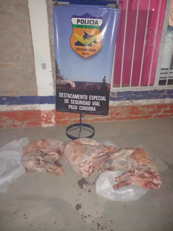 decomiso-ovino-paso-cordoba