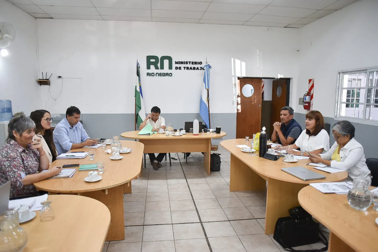 paritaria docente