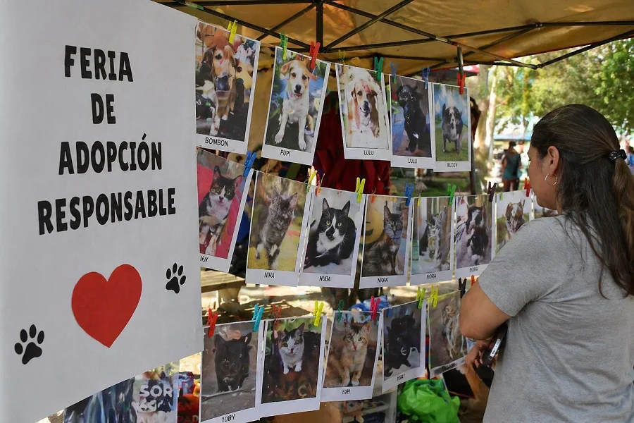 Feria de adopción responsable