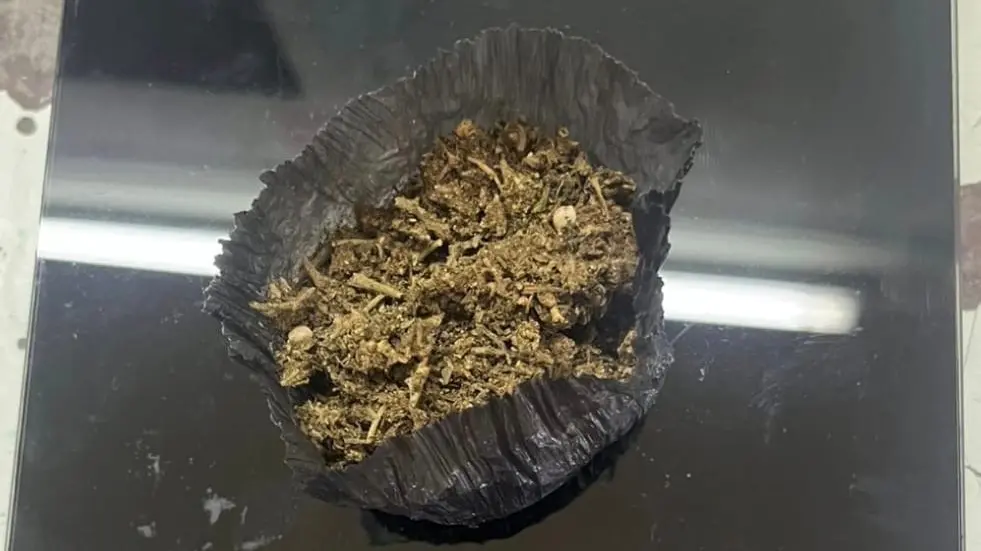 MARIHUANA PENAL 2