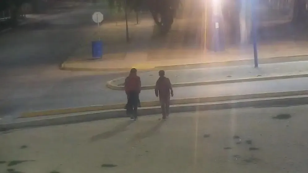 cámaras 911 detenidos