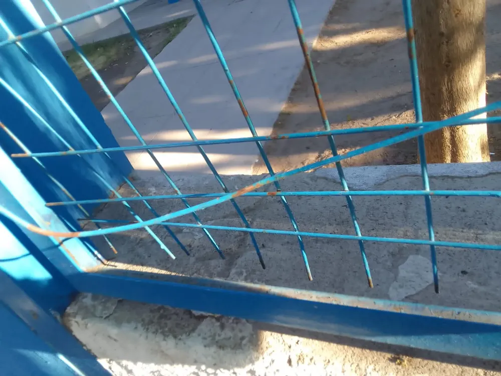 VANDALISMO CECI 2