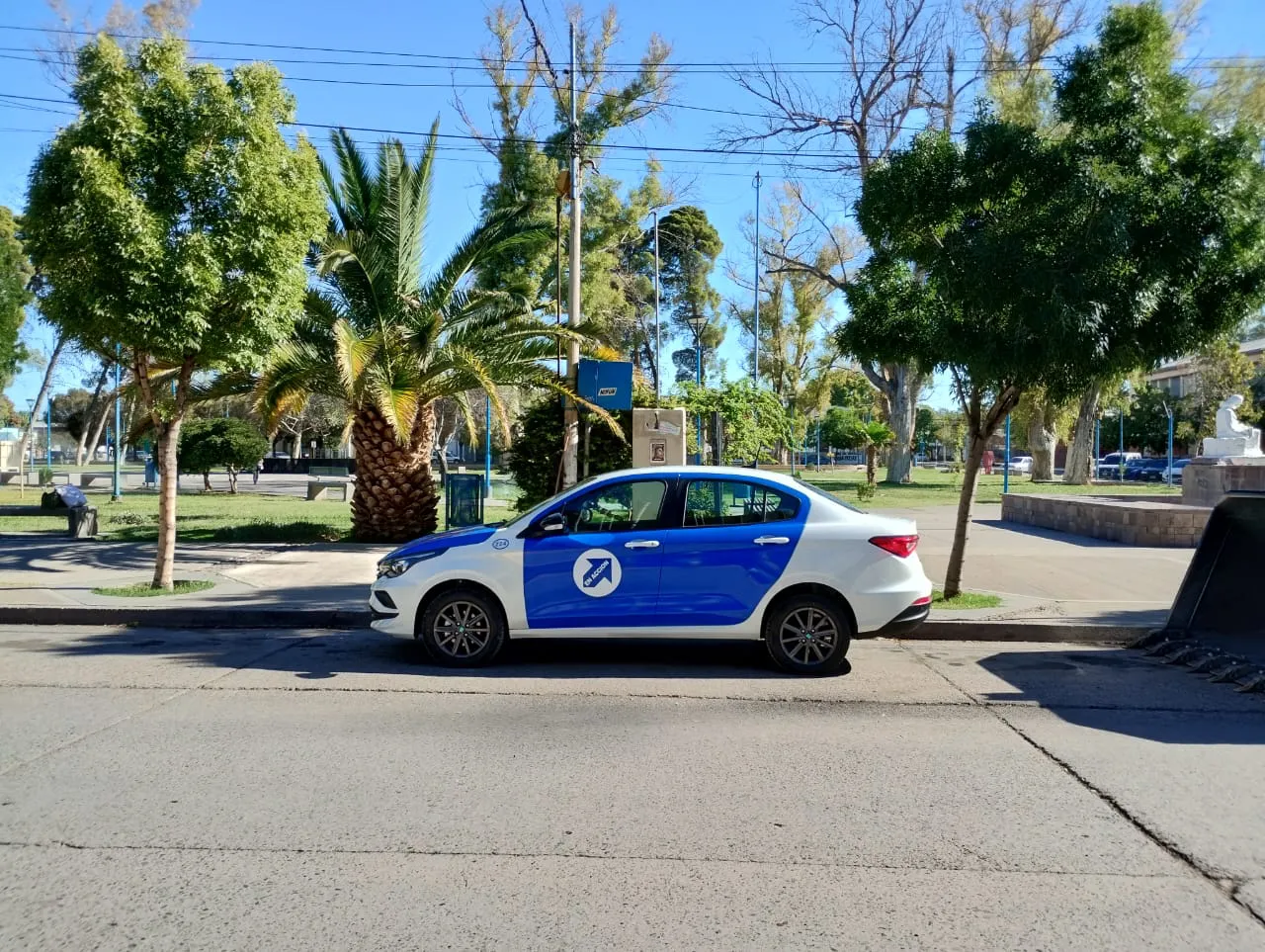 flota muni auto y maquina (5)