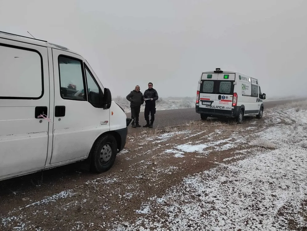 camioneta correo choque animal suelto2